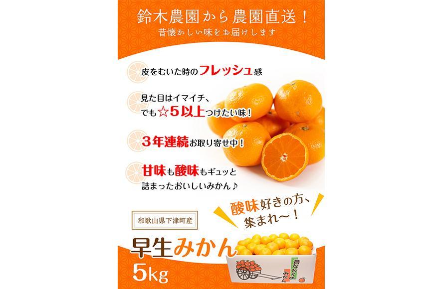 早生みかん（希少な小粒２S～３Sサイズ）5ｋｇ混合11月中旬～12月下旬頃に鈴木みかん農園より農園直送 3Sサイズ 2Sサイズ ２S SS 小玉 小さい※北海道・沖縄・離島への配送不可　ミカン　蜜柑　mikan　温州みかん 温州ミカン　わけあり　訳アリ