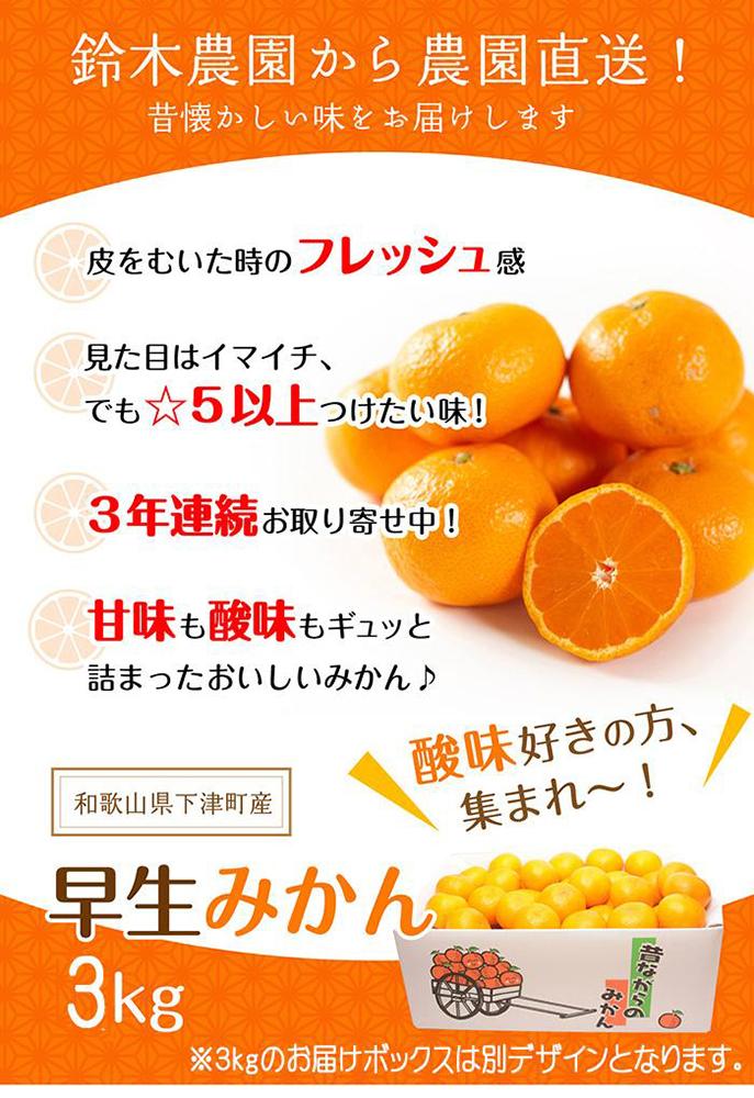 みかん 小玉みかん ３kg  S・SSサイズ 鈴木農園【11～1月発送】Sサイズ 2Sサイズ ２S SS 小さい こつぶ 小玉 小粒 小粒みかん 小玉サイズ 小粒サイズ 早生みかん ミカン 蜜柑 mikan 和歌山みかん 下津みかん しもつみかん 温州みかん 柑橘 フルーツ 果物