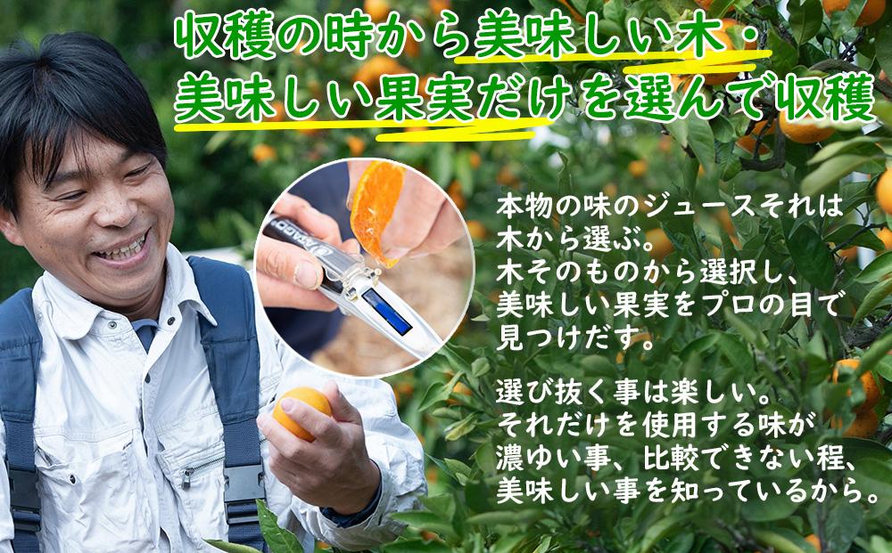 みかんジュース【蔵出しみかん100％】500ml×3本 みかん ジュース みかんジュース ミカンジュース みかんじゅーす 温州みかんジュース 和歌山みかんジュース ストレートみかんジュース 蔵出しみかんジュース オレンジジュース 和歌山県産 海南市産