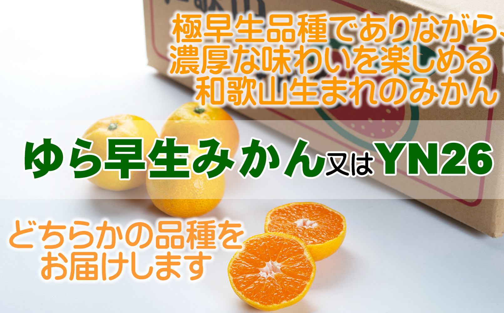 みかんです。 ミカン様 ミカン様 ミカン様 蜜柑様 レビュー】ZXシリーズ10周年