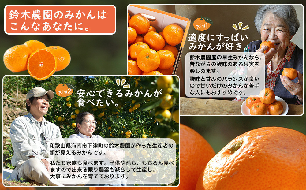 ［定期便］みかん 5kg 家庭用（11月～2月 計4回）みかん 定期便 柑橘 和歌山県 海南市 早生みかん 蔵出しみかん 鈴木農園