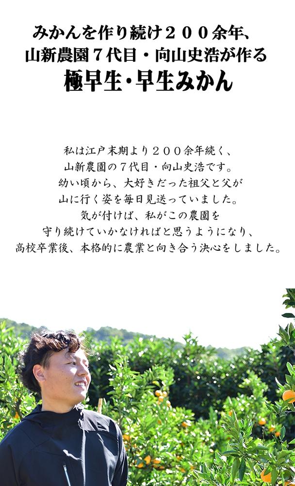 極早生 or 早生みかん約10kg 小粒SS・Sサイズおまかせ《秀品》 和歌山県産 山新農園 農園直送 まごころ産直みかん［北海道・沖縄県・一部離島 配送不可］ SSサイズ 2S 小玉 蜜柑 果物