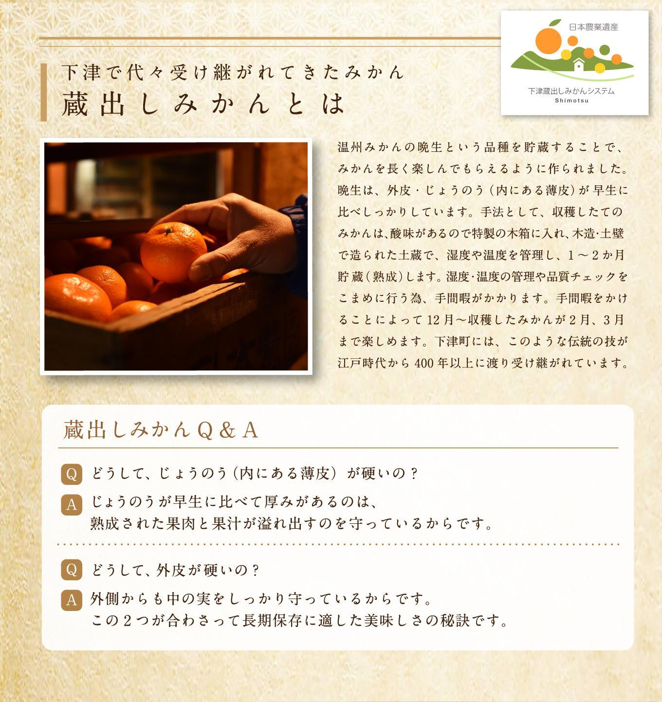 蔵出しみかん 約5kg(小粒２S・３S混合)《ご家庭用》ちょっと訳あり 希少な小粒みかんを和歌山県より農園直送！まごころ産直みかん 【北海道・沖縄県・一部離島 配送不可】SSサイズ 小玉 わけあり 訳アリ 1月頃から発送