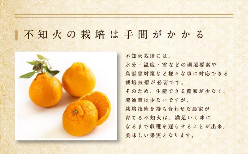 不知火 約5kg 15～24玉入り 《赤秀》 和歌山県産 農園直送 まごころ産直みかん 【北海道・沖縄県・一部離島 配送不可】 みかん 果物 柑橘 しらぬい デコポンと同じ品種 でこぽん