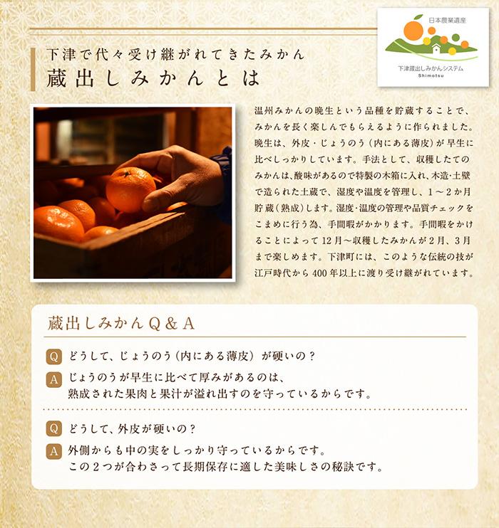 蔵出しみかん約10kg 大小混合 《ご家庭用》 ちょっと訳あり 和歌山県産 農園直送 まごころ産直みかん 【1月上旬頃発送開始】【北海道・沖縄県・一部離島 配送不可】 混合サイズ わけあり 訳アリ