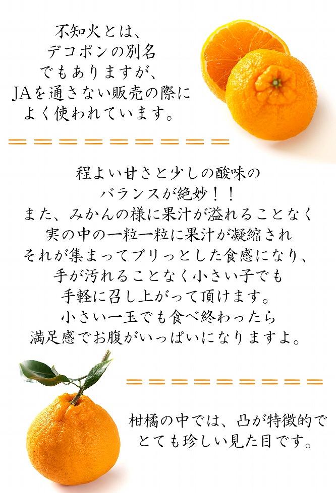 不知火約5kg 15～24玉入り 《ご家庭用》 訳あり 和歌山県産 農園直送 まごころ産直みかん【北海道・沖縄県・離島配送不可】みかん 柑橘 しらぬい デコポンと同じ品種
