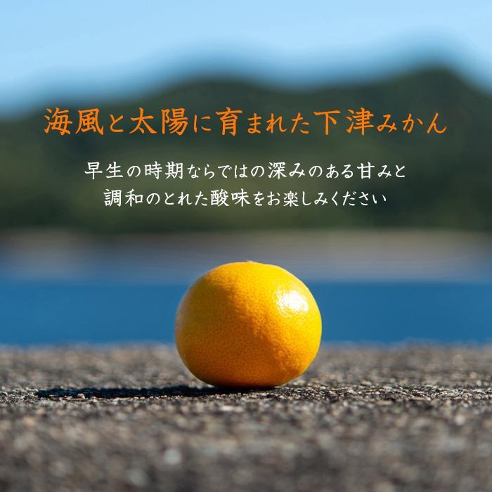 早生みかん 約7kg 大玉 2L・3Lサイズおまかせ 《ご家庭用》 ちょっと訳あり 和歌山県産 農園直送 まごころ産直みかん 【北海道・沖縄県・一部離島 配送不可】大きい 蜜柑 温州みかん わけあり 訳アリ［Mg50］