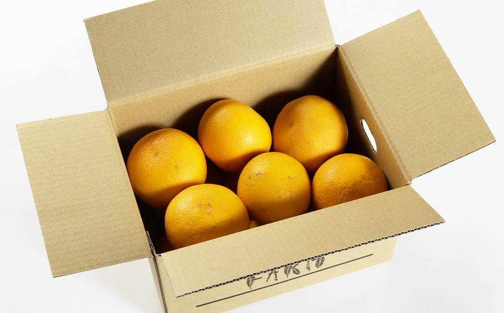 春峰 約3kg L・2L・3Lサイズおまかせ 《赤秀》 和歌山県産 農園直送 まごころ産直みかん 【北海道・沖縄県・一部離島 配送不可】 しゅんぽう 清見 水晶文旦 春 果物 柑橘【Mg4】