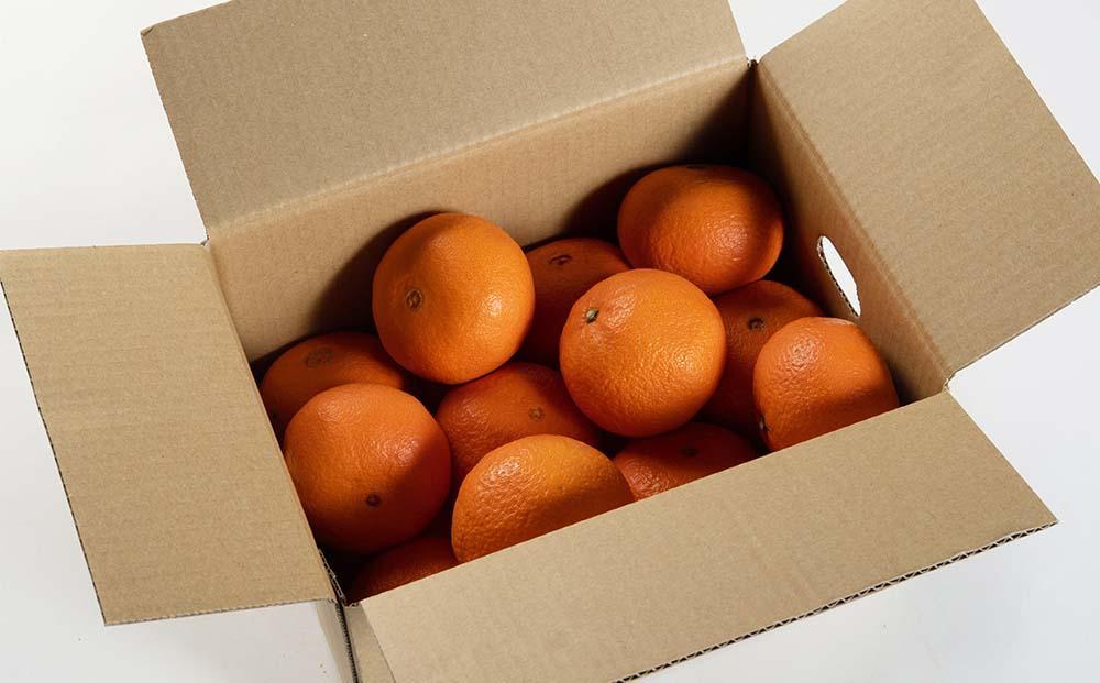 津之輝 約5kg S・M・Lサイズおまかせ 《赤秀》 和歌山県産 農園直送 まごころ産直みかん 【北海道・沖縄県・一部離島 配送不可】 つのかがやき 津の輝き 春 柑橘 果物 みかん オレンジ【Mg7】