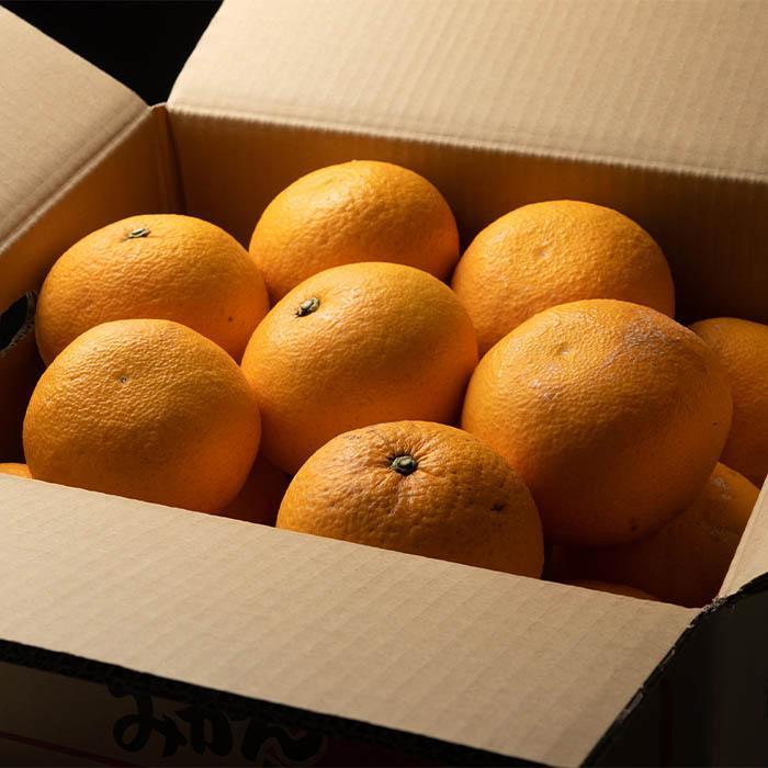 甘夏 約6kg 大小混合 《秀品》 和歌山県産 農園直送 まごころ産直みかん 【北海道・沖縄県・一部離島 配送不可】サンフルーツ 新甘夏 田ノ浦オレンジ あまなつ みかん【Mg8】