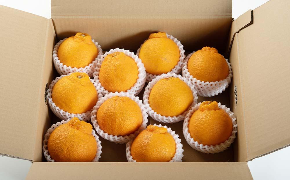 不知火 約3kg 大玉9～11玉入り 《赤秀》 和歌山県産 農園直送 まごころ産直みかん 【北海道・沖縄県・一部離島 配送不可】 みかん 果物 柑橘 しらぬい デコポンと同じ品種 でこぽん