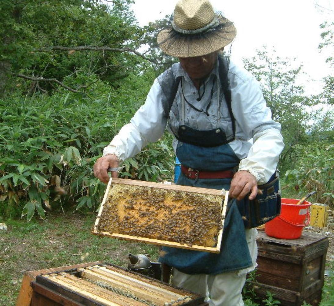 熊野古道 峠の蜂蜜・みかん蜂蜜 各1本(180g)