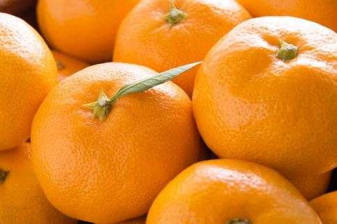 ［産直・秀品］和歌山下津みかん約6kg（2Lサイズ）★2026年11月中旬頃より順次発送［TM75］