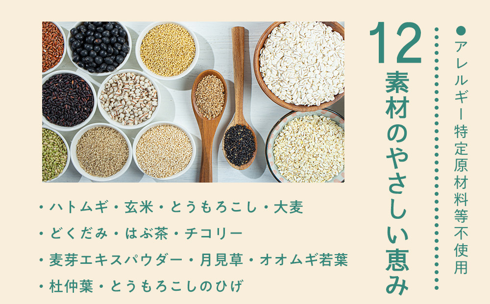 コカ・コーラ 爽健美茶 2L 6本×2ケース 計12本