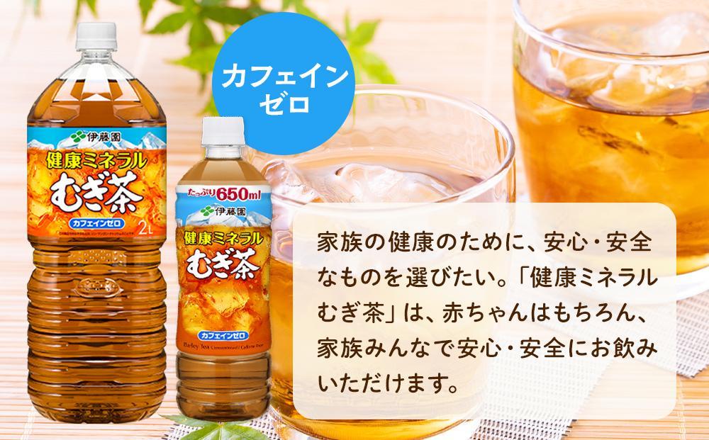 定期便 毎月 全3回 健康ミネラル麦茶 650ml×24本 １ケース 3ヶ月定期便