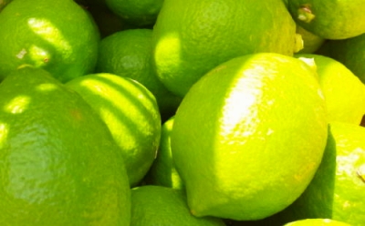 【国産】農家直送!　紀州レモン　約3kg