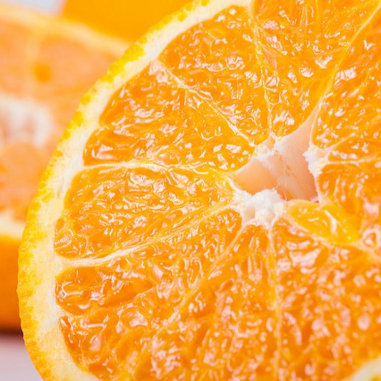 有田育ちの濃厚不知火(ご家庭用) 約10kg［先行予約］［MS43］