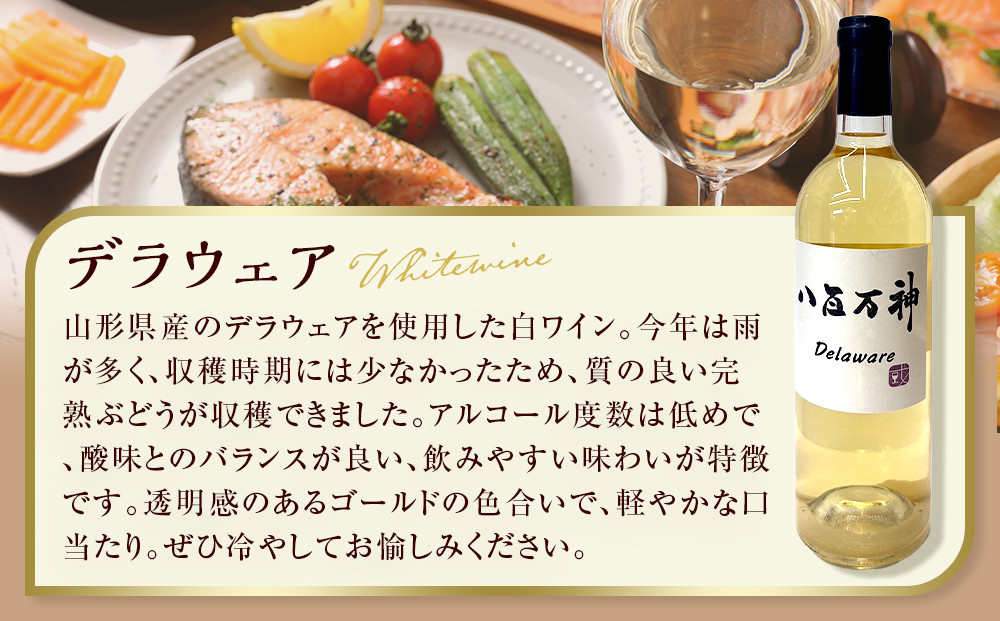 白ワイン 八百万神  デラウェア 2024 八百万神（Yaoyorozu）