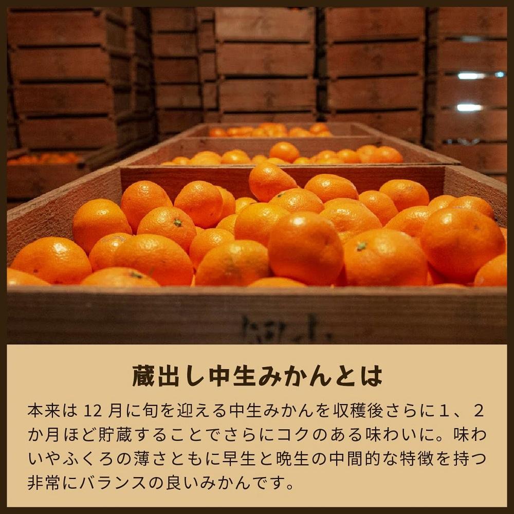 蔵出しみかん中生　5kg家庭用｜和歌山県海南市下津町の特産品蔵出しみかんの中生品種を産地直送でお届け【2026年1月発送開始】
