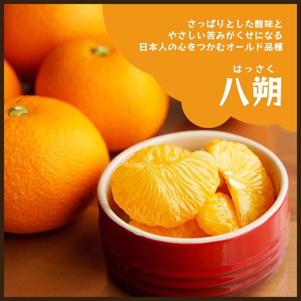 八朔｜和歌山県海南市から産地直送でお届け｜4kg｜ご家庭用【2026年4月より発送開始】