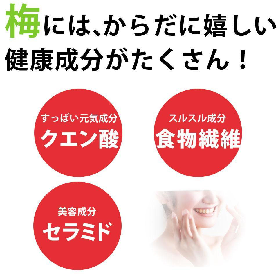 梅エキス 紀州の赤本純正【元気ノ国】70g×3個セット