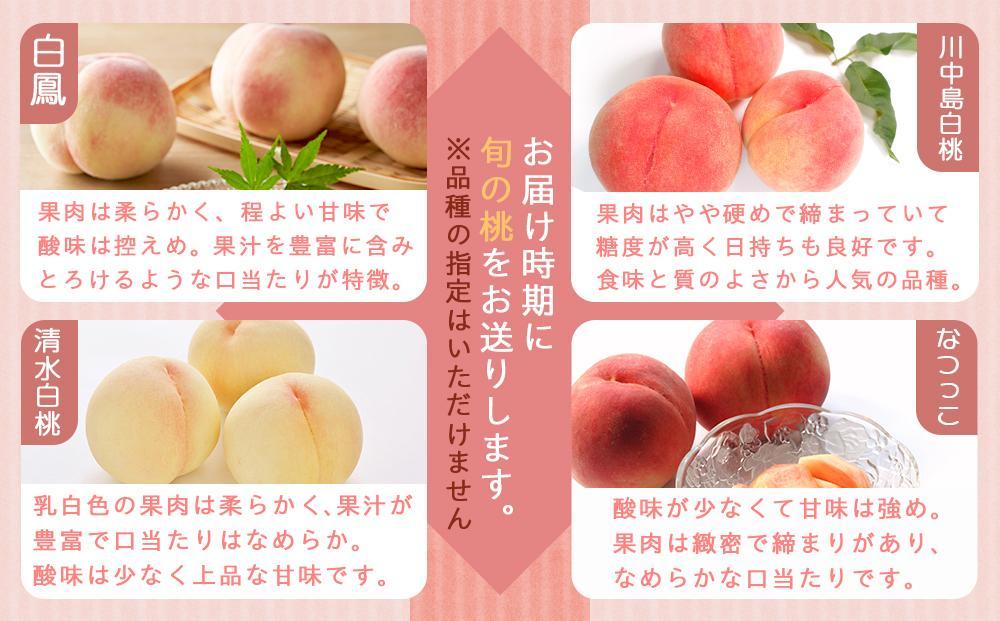 和歌山県産 桃 秀品 13～15玉 約4kg［NY9］