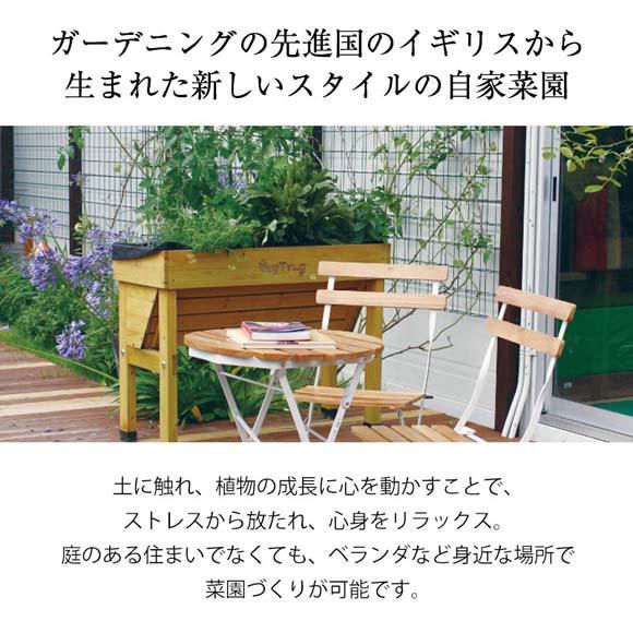 57932700 ホームベジトラグ ウォールハガー コンパクト ナチュラル