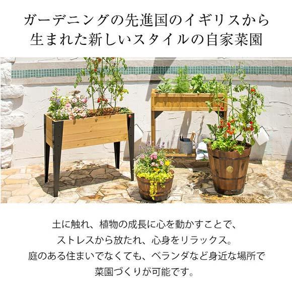 57939600 レイズドベッド ハーブプランター スリム ナチュラル