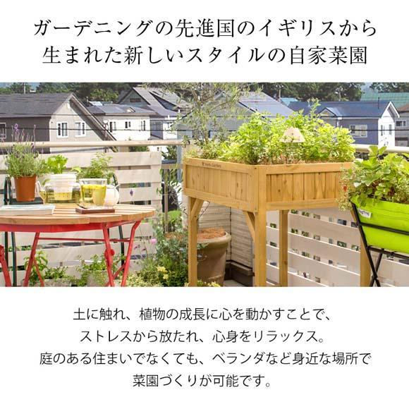 57937200 レイズドベッド ハーブプランター ナチュラル