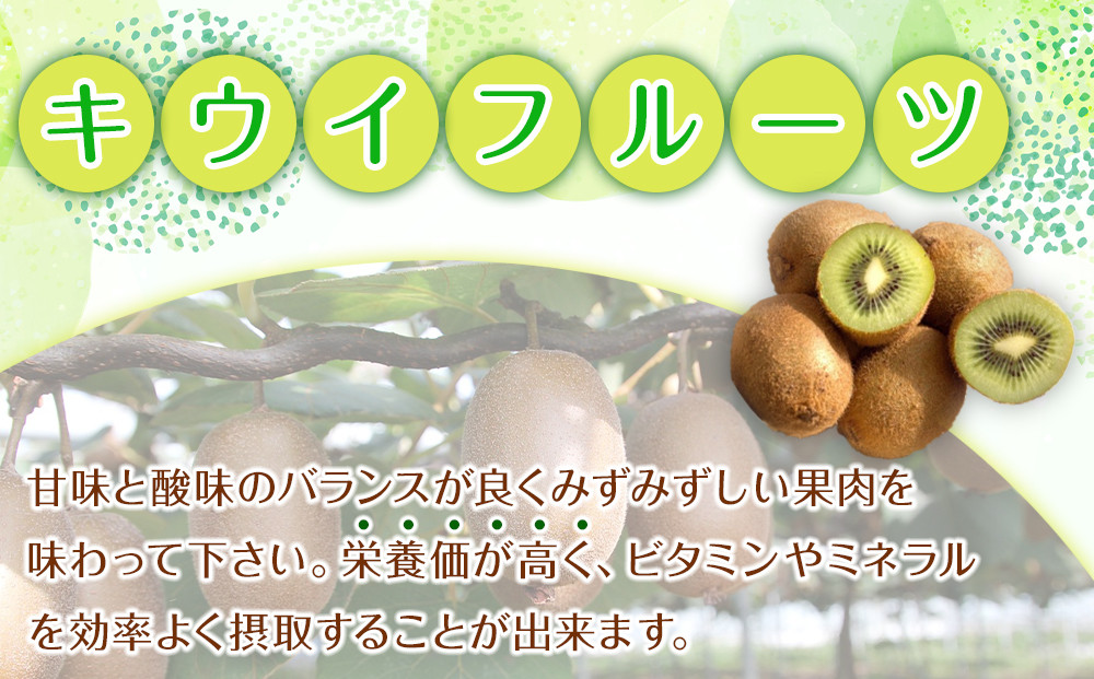 森本農園の キウイフルーツ 約5kg 和歌山県産 サイズ混合 ［北海道・沖縄・離島配送不可］［2026年2月上旬から順次発送］［RN127］