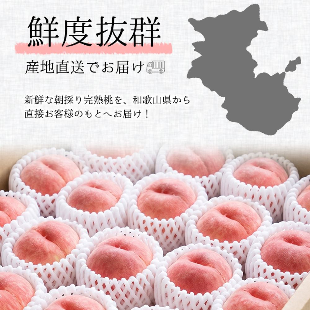贈答用 森本農園の手選別 桃 2kg