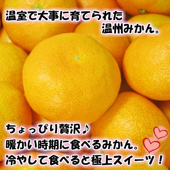 特選品！和歌山有田の「ハウスみかん」【赤秀】約2.5kg 化粧箱入り（5月以降発送）【NGT3】