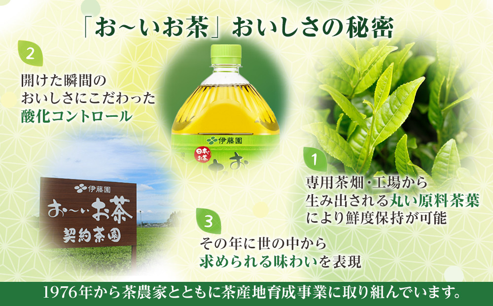 【定期便 全3回 毎月発送】機能性表示食品 お～いお茶 濃い茶  2L × 1ケース（6本）