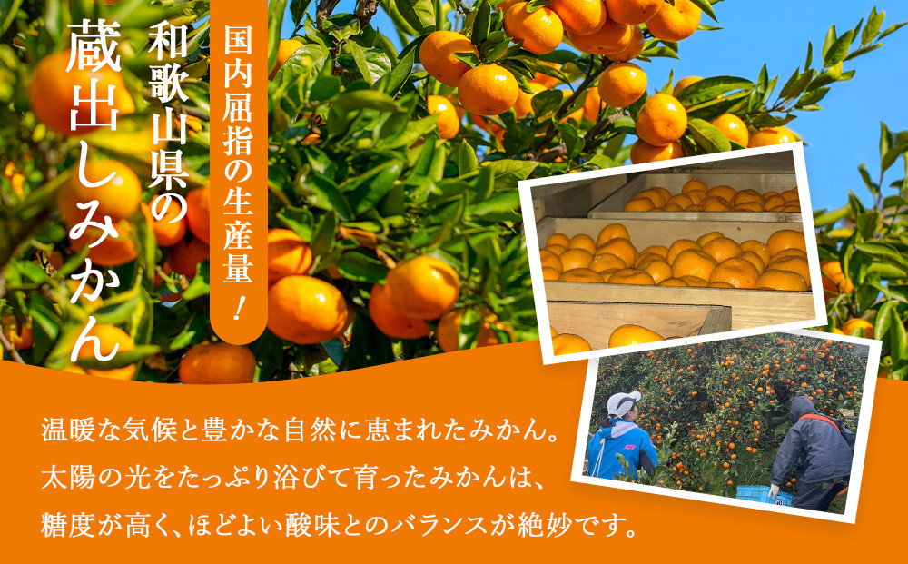 ［先行予約］訳あり 蔵出しみかん 約5kg 2S～2Lサイズ混合［2026年1月10日～31日頃順次発送予定］