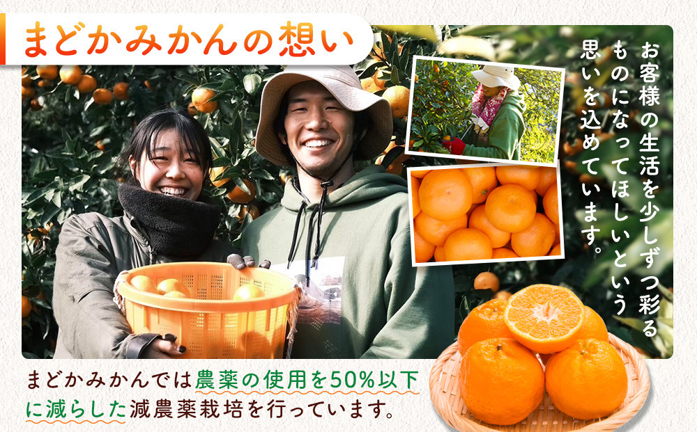 ［先行予約］［訳あり］蔵出しみかん（晩生みかん）S〜Lサイズ混合 5kg＋300g（傷み補償分）［2026年1月上旬より発送］