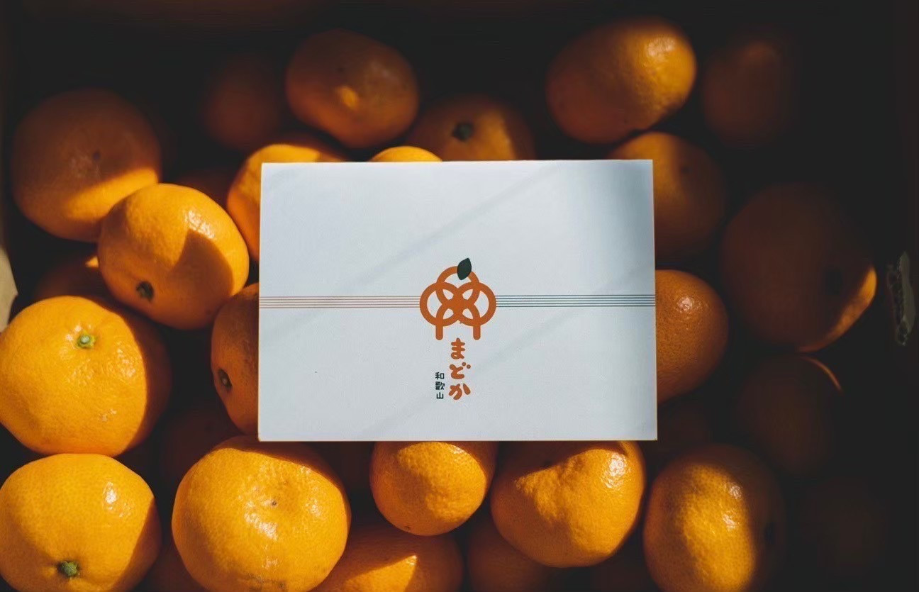 ［先行予約］［贈答用］冬採れみかん（中生みかん）S〜Lサイズ混合 2kg＋200g（傷み補償分）［2025年11月下旬より発送］