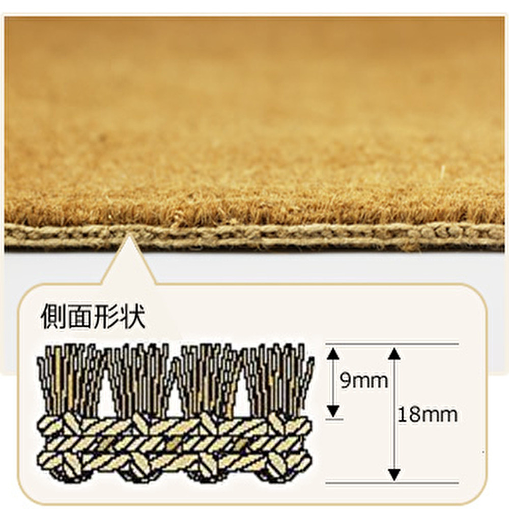 ココヤシ玄関屋外泥・砂落としカルナマット（L）600×900mm