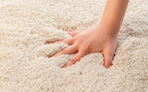 思わず頬ずりしたくなるバスマット プレミアム60x90ｃｍ　ベージュ