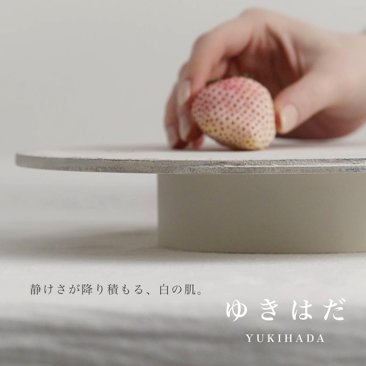 紀州漆器 SHIKI-ORIORI しきおりおり ゆきはだ Dai 台 お盆 トレイ