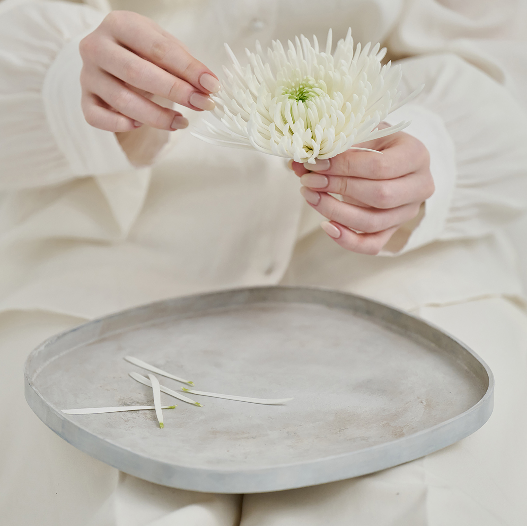 紀州漆器 SHIKI-ORIORI しきおりおり さざなみ BON 盆 お盆 トレイ
