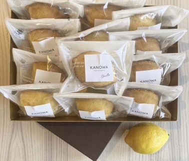 和歌山レモンケーキ スタンダード（12個入）