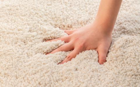 思わず頬ずりしたくなるバスマット プレミアム45x60ｃｍ　ベージュ