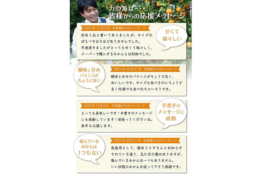 早生みかん 約6kg 大玉 2L・3Lサイズ《ご家庭用》和歌山県 海南市産 農園直送 鈴木みかん農園 【北海道・沖縄県・一部離島 配送不可】ちょっと訳あり ミカン 蜜柑 温州みかん わけあり 訳アリ 和歌山みかん 海南みかん 下津みかん 和歌山ミカン しもつみかん mikan