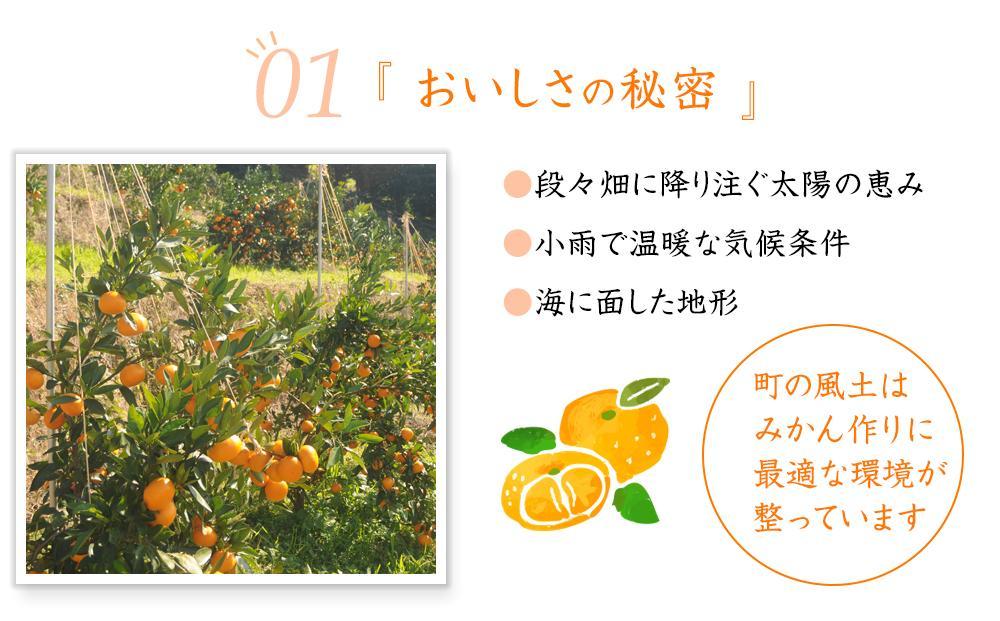 蔵出しみかん約10kg 大小混合 《ご家庭用》 ちょっと訳あり 和歌山県産 農園直送 まごころ産直みかん 【1月上旬頃発送開始】【北海道・沖縄県・一部離島 配送不可】 混合サイズ わけあり 訳アリ