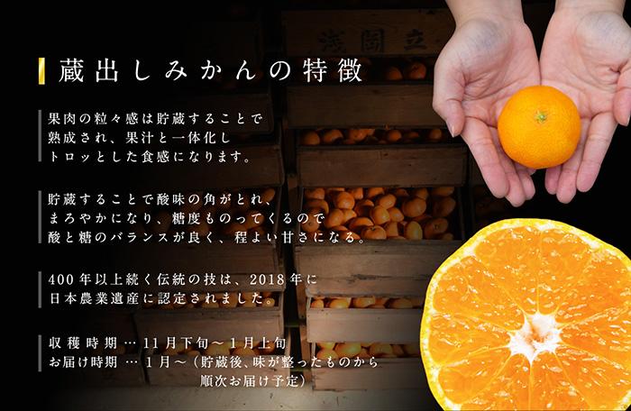 蔵出しみかん 約6kg 大玉2L・3Lサイズおまかせ 《ご家庭用》 和歌山県産 農園直送 まごころ産直みかん 【1月上旬頃発送開始】【北海道・沖縄県・一部離島 配送不可】わけあり 訳アリ ちょっと訳あり