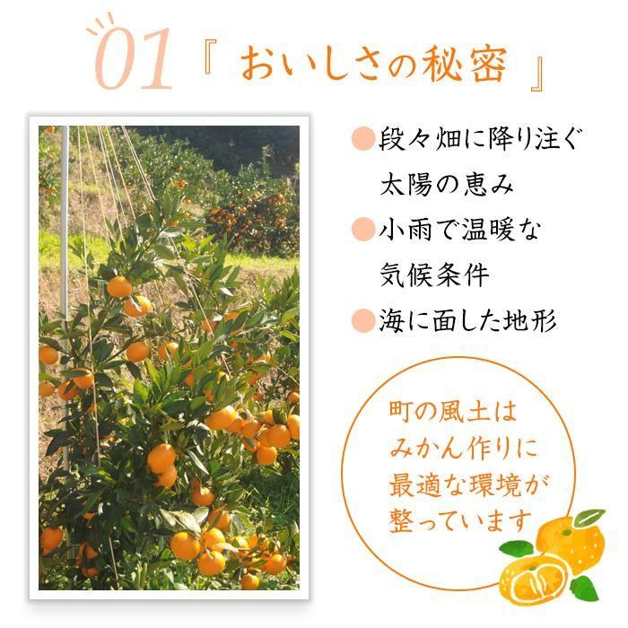 早生みかん 約7kg 大玉 2L・3Lサイズおまかせ 《ご家庭用》 ちょっと訳あり 和歌山県産 農園直送 まごころ産直みかん 【北海道・沖縄県・一部離島 配送不可】大きい 蜜柑 温州みかん わけあり 訳アリ［Mg50］