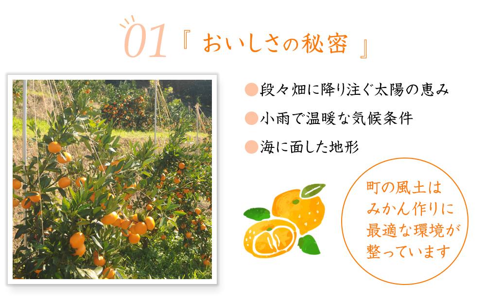 蔵出しみかん 約6.5kg 混合サイズ 訳あり 1月～3月発送 和歌山県産 農園直送 まごころ産直みかん 【北海道・沖縄県・一部離島 配送不可】 ミカン 蜜柑 Mikan 温州みかん 温州ミカン わけあり 訳アリ ちょっと訳あり くらだし くらだしみかん 下津の蔵出しみかん