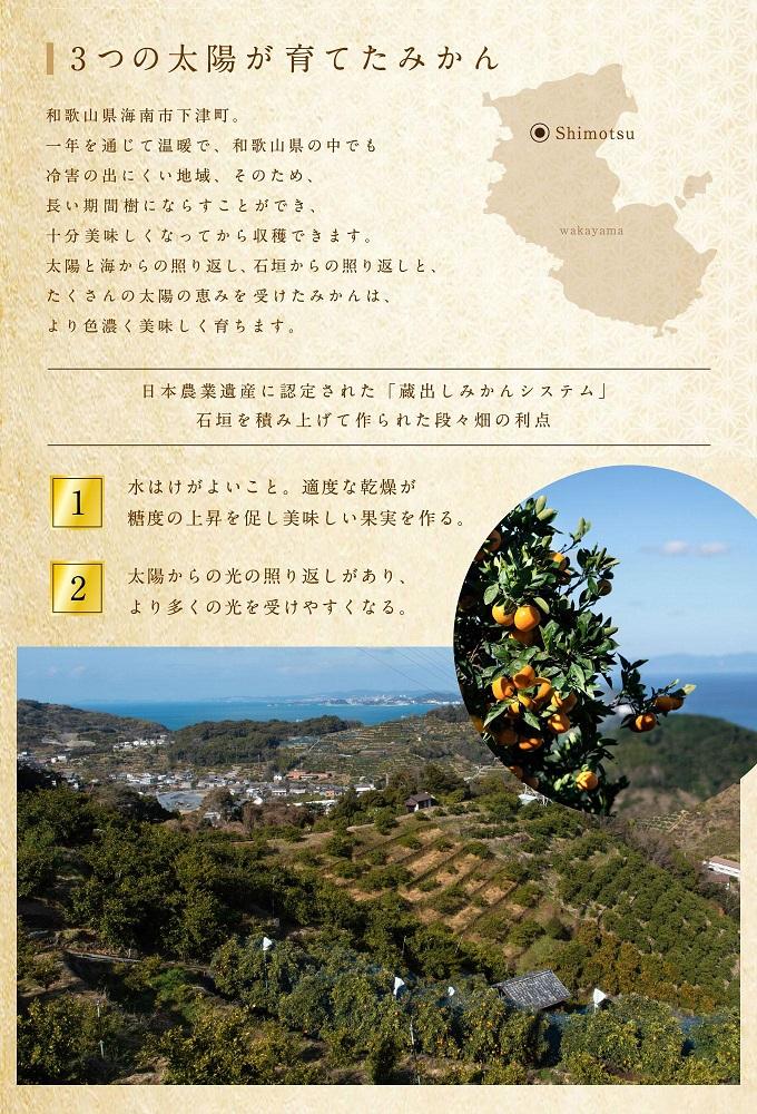 【定期便/全10回】厳選・柑橘の定期便 和歌山県下津町から農園直送！まごころ産直みかん【北海道・沖縄県・一部離島 配送不可】旬 みかん 早生 由良 完熟 蔵出し 津之輝 甘夏 不知火