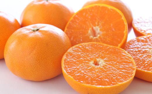 (訳あり・ご家庭用)一度は食べていただきたい「有田産のせとか」約4kg～5kg★2026年２月中旬頃より順次発送［TM210］