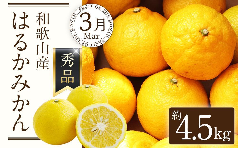 定期便全3回 【2月・3月・4月発送】 和歌山の春の柑橘 （ポンカン・はるか・ブラッドオレンジ）秀品【TM173】